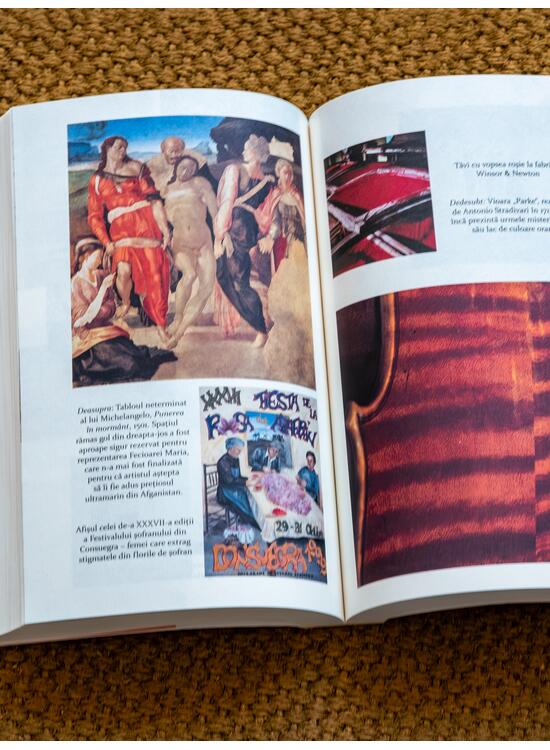 Copertă produs Pachet Meridiane de artă (Culorile. O istorie culturală, Instinctul artistic) - gallery big 3