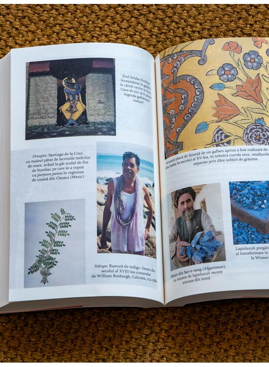 Copertă produs Pachet Meridiane de artă (Culorile. O istorie culturală, Instinctul artistic) - gallery big 4