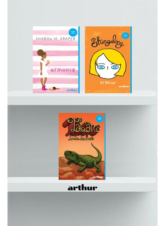 Copertă produs Pachet Prietenie (Tabăra, Shingaling, Armonie) - gallery big 1