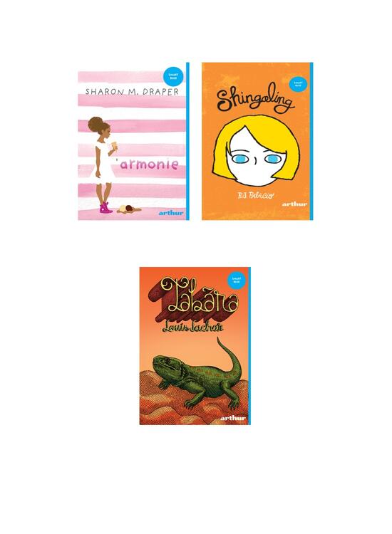 Copertă produs Pachet Prietenie (Tabăra, Shingaling, Armonie) - gallery big 5