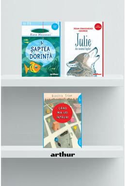 Copertă produs Pachet lecturi pentru 13 ani (Când mă vei întâlni, Julie, A șaptea dorință)