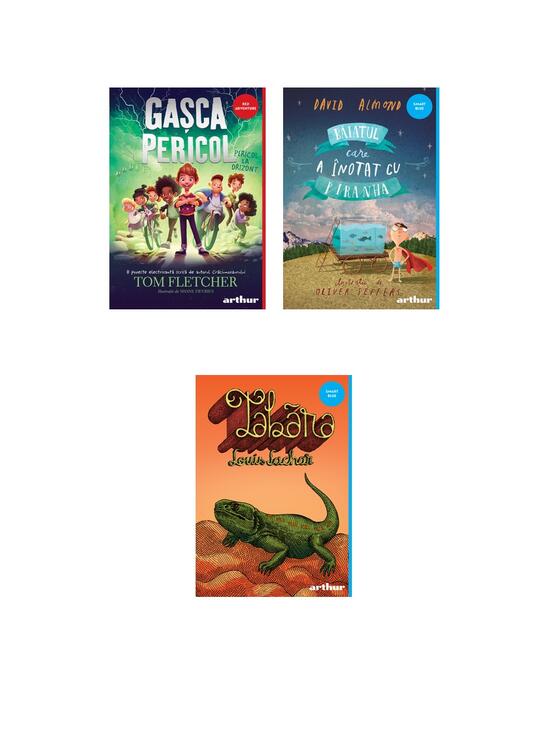 Copertă produs Pachet lecturi pentru 12 ani (Băiatul care a înotat, Gașca Pericol, Tabăra) - gallery big 5