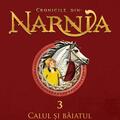 Copertă produs Pachet Cronicile din Narnia ( primele 3 volume) - gallery small 