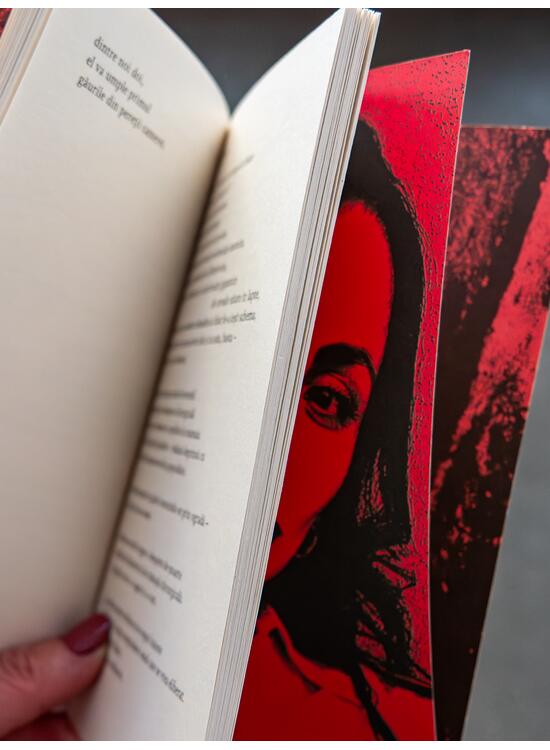 Copertă produs Însemnări pe tivul fustei - gallery big 4