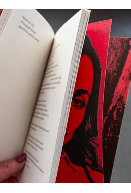 Copertă produs Însemnări pe tivul fustei