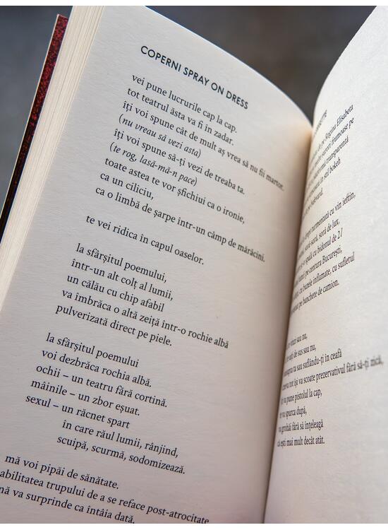 Copertă produs Însemnări pe tivul fustei - gallery big 5