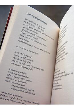 Copertă produs Însemnări pe tivul fustei