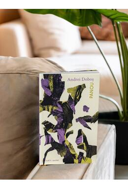 Copertă produs Panou