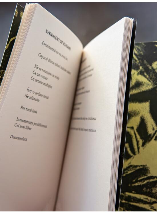 Copertă produs Panou - gallery big 4