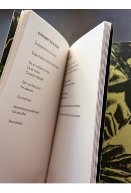 Copertă produs Panou