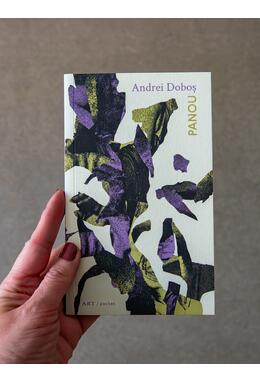 Copertă produs Panou