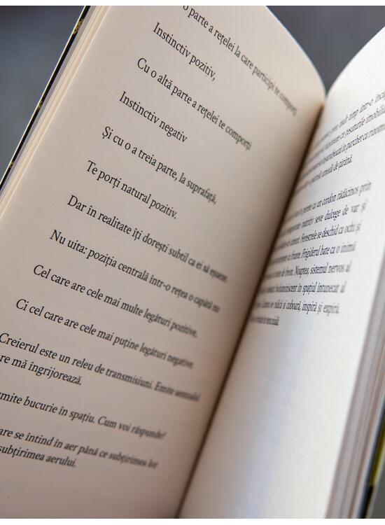 Copertă produs Panou - gallery big 6