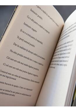 Copertă produs Panou