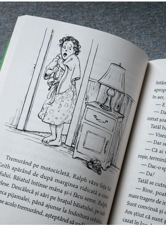 Copertă produs Șoarecele și motocicleta | paperback - gallery big 3