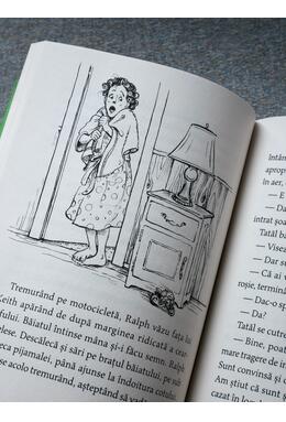 Copertă produs Șoarecele și motocicleta | paperback