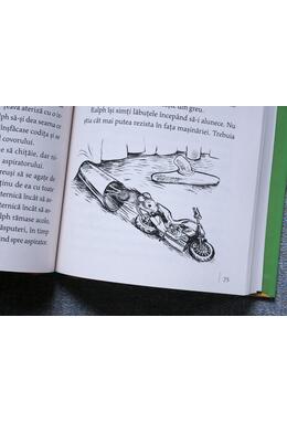 Copertă produs Șoarecele și motocicleta | paperback