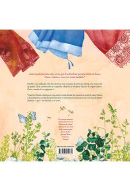 Copertă produs Călătoria lui Medilo