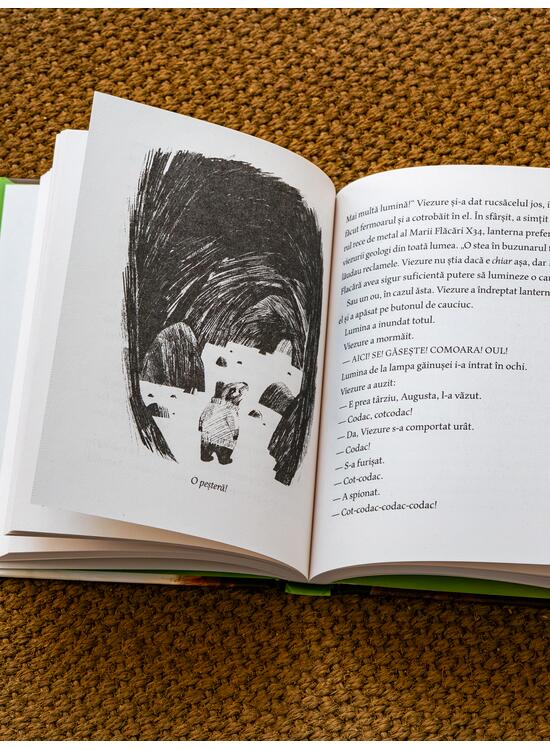 Copertă produs Sconcs și viezure. Un ou surpriză - gallery big 4