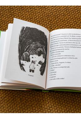 Copertă produs Sconcs și viezure. Un ou surpriză