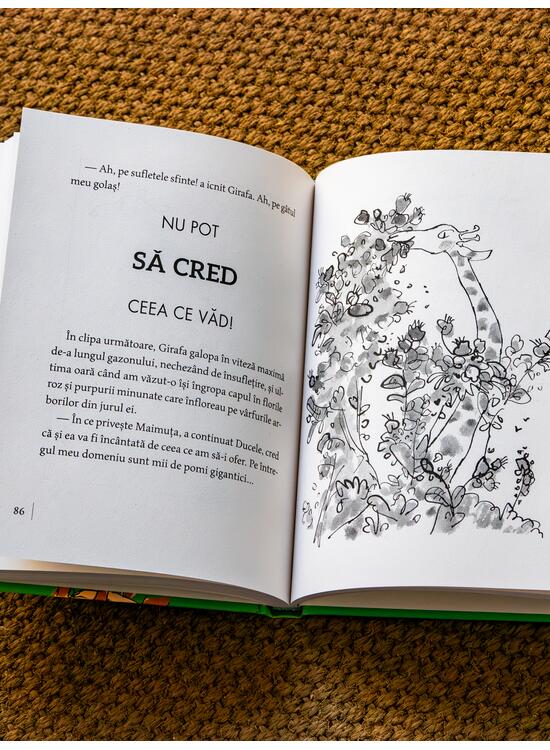 Copertă produs Girafa, Peli și eu | format mic - gallery big 4