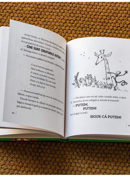 Copertă produs Girafa, Peli și eu | format mic - gallery big 5