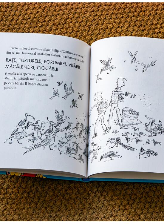 Copertă produs Degetul magic | format mic - gallery big 5