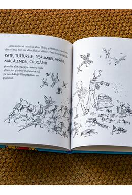 Copertă produs Degetul magic | format mic