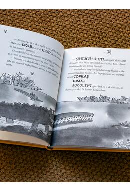 Copertă produs Crocodilul Enorm | format mic