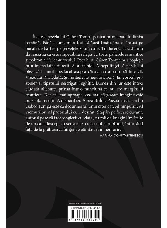 Copertă produs Fruntea lui Hamlet - gallery big 2