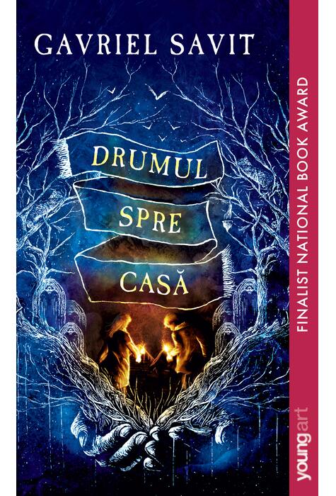 Copertă produs Drumul spre casă | paperback