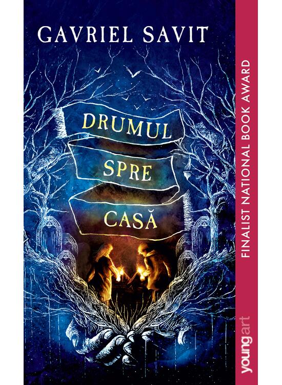 Copertă produs Drumul spre casă | paperback - gallery big 1