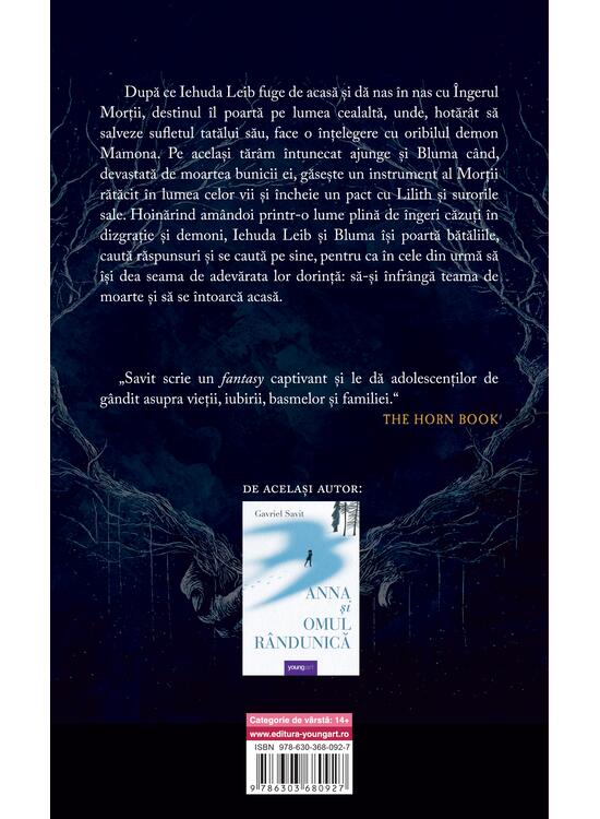 Copertă produs Drumul spre casă | paperback - gallery big 2
