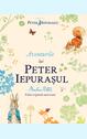 Aventurile lui Peter Iepuraşul