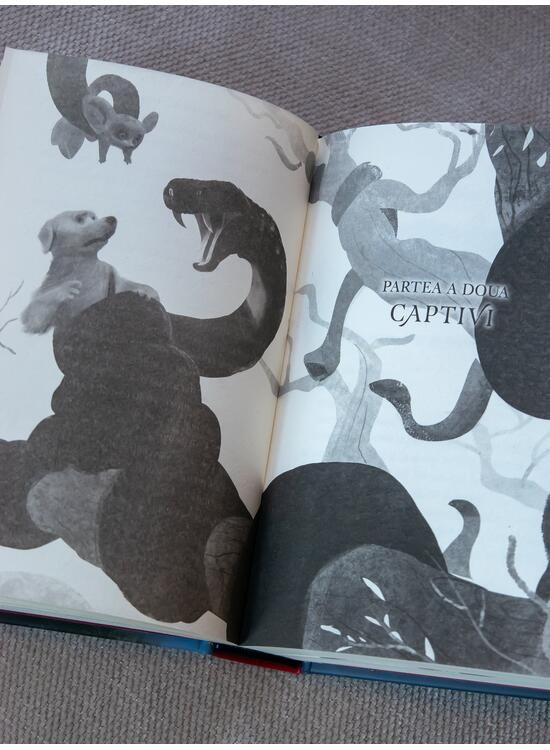 Copertă produs Endling #1. Cea de pe urmă | paperback - gallery big 3