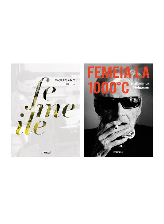 Copertă produs Pachet promo feminist (Femeile și Femeia la 1000 de grade) - gallery big 5