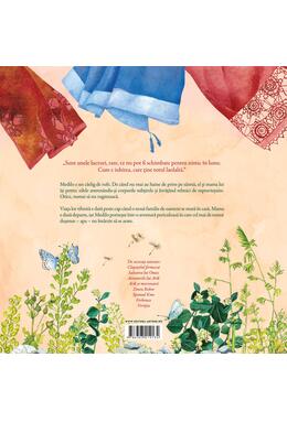 Copertă produs Pachet de autor Ioana Nicolaie (Călătoria lui Medilo, Clopoțelul fermecat)