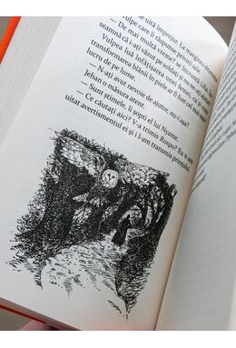 Copertă produs Lumea de cerneală #4: Culoarea răzbunării | paperback