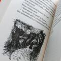 Copertă produs Lumea de cerneală #4: Culoarea răzbunării | paperback - gallery small 