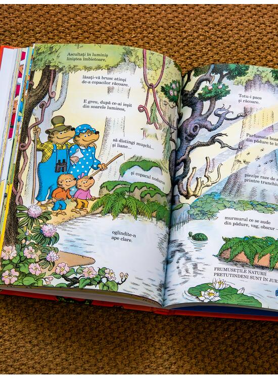 Copertă produs Ursuleții Berenstain. Marea carte despre știință și natură - gallery big 4