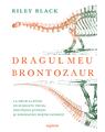 Copertă produs Dragul meu brontozaur - thumb 1