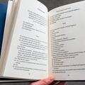 Copertă produs Frumoasa călătorie a urșilor panda povestită de un saxofonist care avea o iubită la Frankfurt - gallery small 