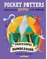 Copertă produs Pocket Potters 5. Ghiduri pentru Seria Harry Potter de J.K. Rowlling: Profesorul Dumbledore - thumb 1