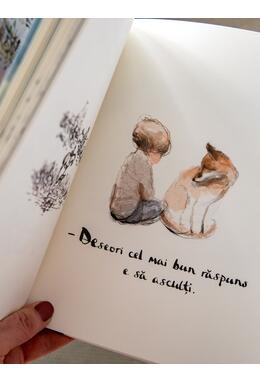 Copertă produs Să-ți amintești mereu. Băiatul, c&acirc;rtița, vulpoiul, calul și furtuna