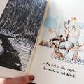 Copertă produs Să-ți amintești mereu. Băiatul, c&acirc;rtița, vulpoiul, calul și furtuna - gallery small 