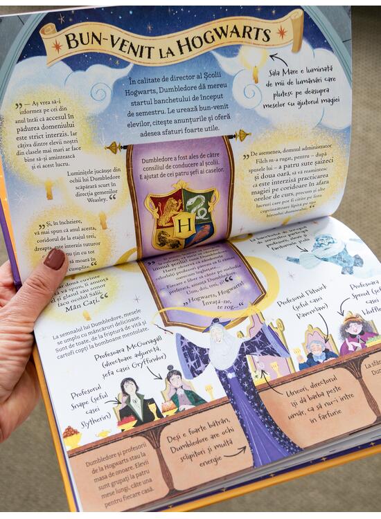 Copertă produs Pocket Potters 5. Ghiduri pentru Seria Harry Potter de J.K. Rowlling: Profesorul Dumbledore - gallery big 4
