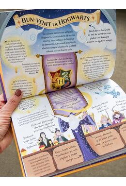 Copertă produs Pocket Potters 5. Ghiduri pentru Seria Harry Potter de J.K. Rowlling: Profesorul Dumbledore