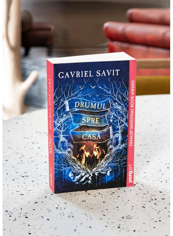 Copertă produs Drumul spre casă | paperback - gallery big 3