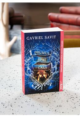 Copertă produs Drumul spre casă | paperback