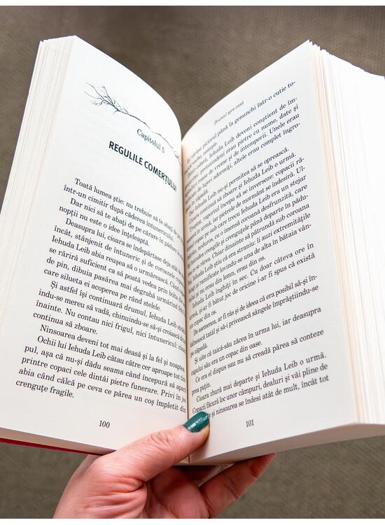 Copertă produs Drumul spre casă | paperback - gallery big 5