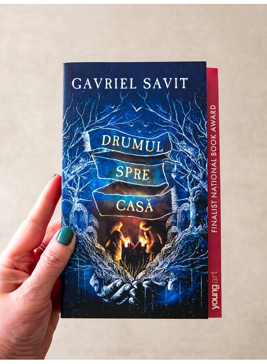 Copertă produs Drumul spre casă | paperback - gallery big 6